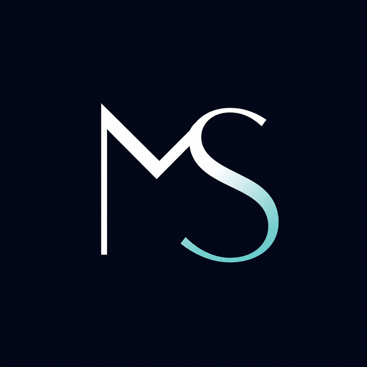 MS Tech Web Design
